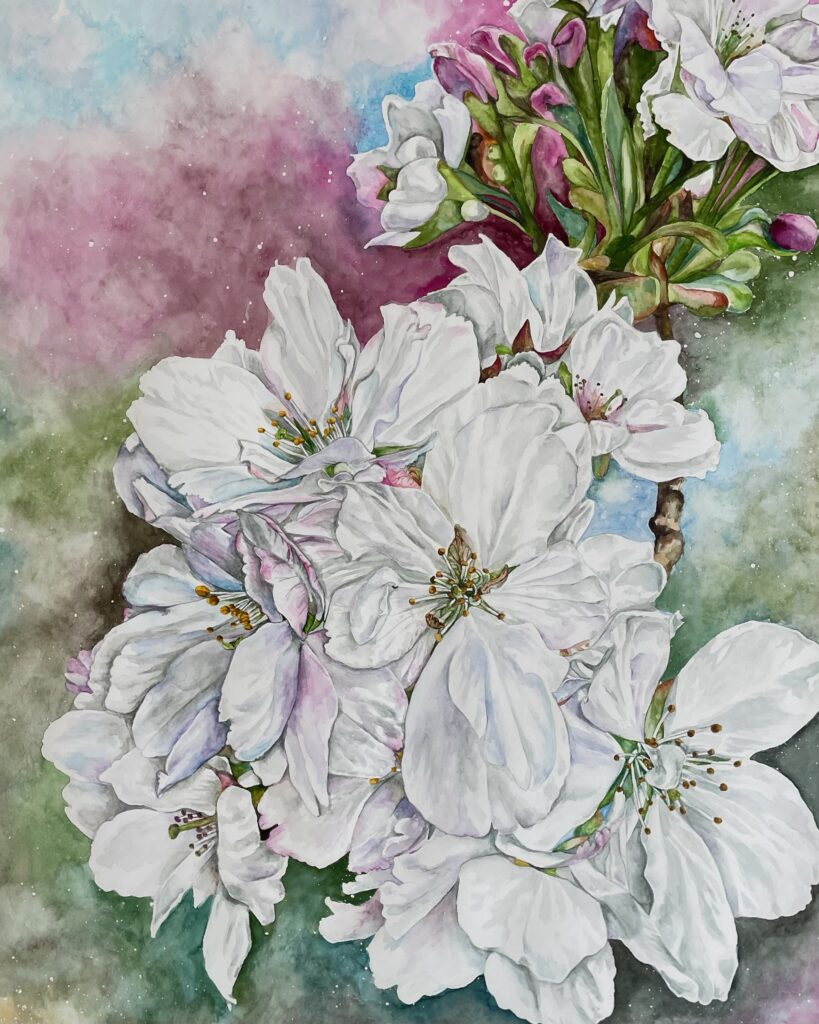 #0002 kirschblüten