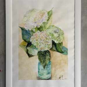 #0030 annabelle-hortensien / annabelle-hydrangeas