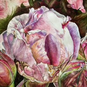 #0014 meisterrose / master rose