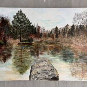 #0039 bühlhauweiher / bühlhau pond