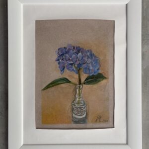 #0028 blaue hortensie  / blue hydrangea