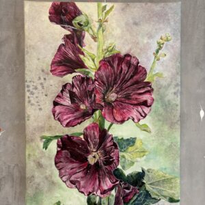 #0009 stockrose / hollyhock