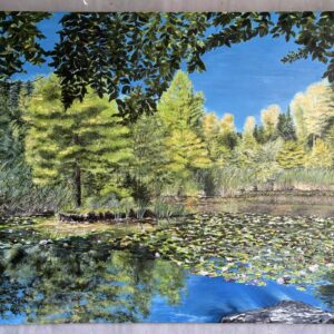 #0072 meine heimat - mein kleiner seerosenteich / my homeland - my little water lily pond