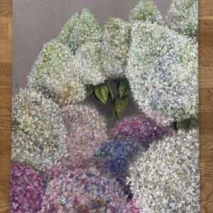 #0149 hortensien mit pastell-ölkreiden / hydrangeas with oil pastels