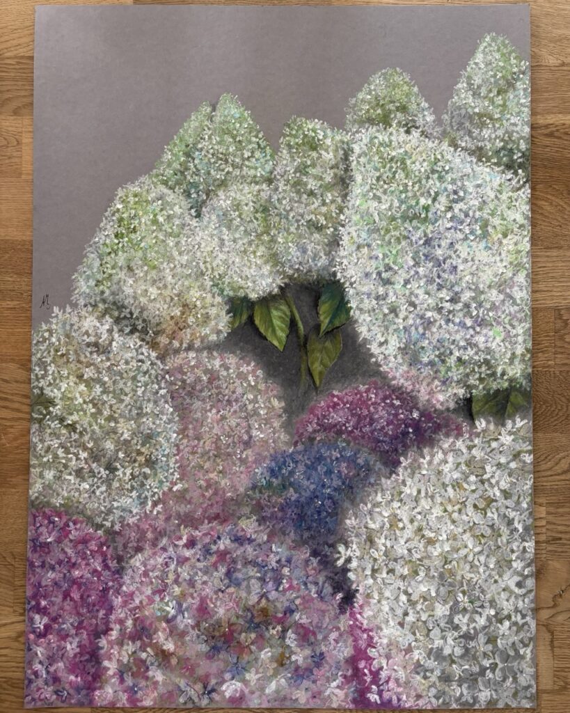 #0149 hortensien mit pastell-ölkreiden