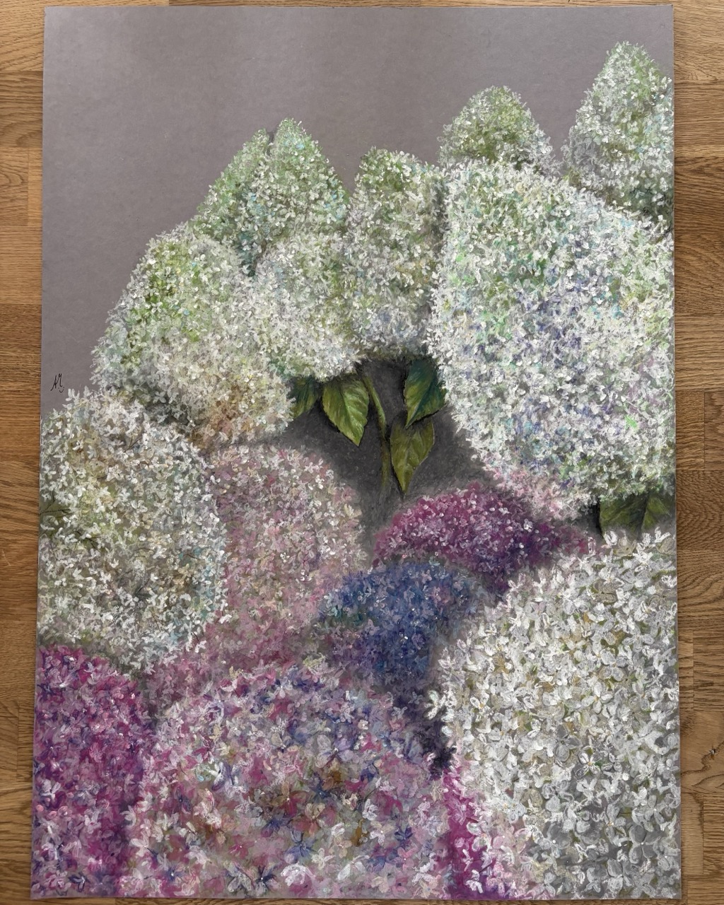 #0149 hortensien mit pastell-ölkreiden / hydrangeas with oil pastels