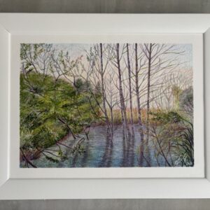 #0137 biberteich / beaver pond