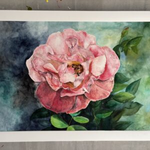 #0140 aquarellrose  / watercolorrose