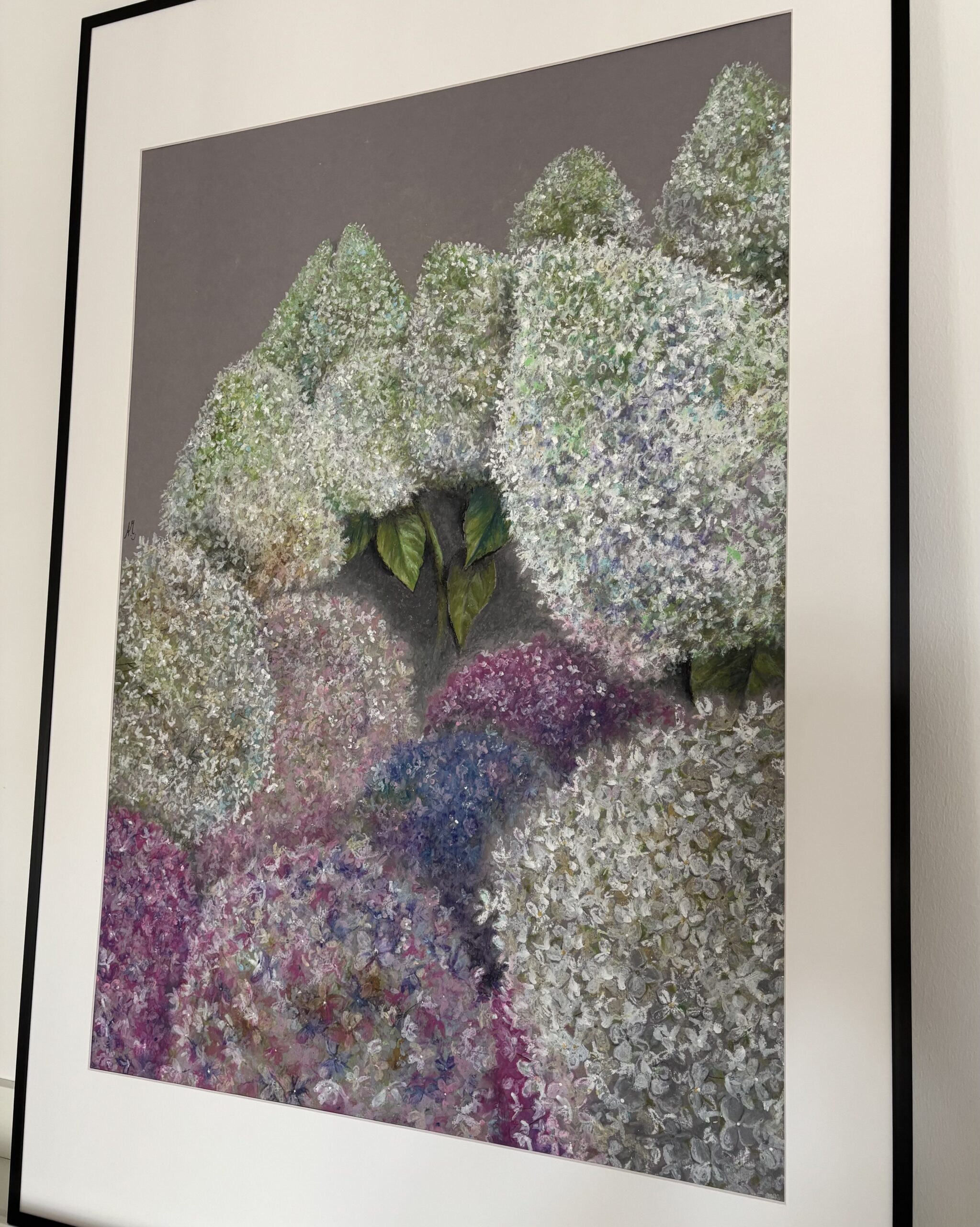 #0149 hortensien mit pastell-ölkreiden / hydrangeas with oil pastels – Bild 3