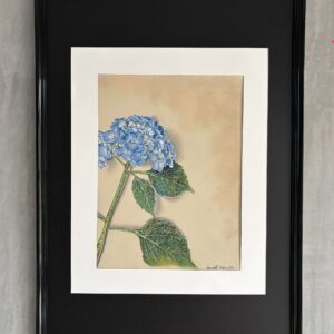 #0088 blaue pastellhortensie / pastel hydrangea in blue