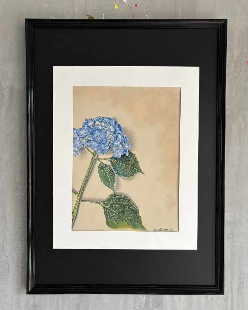 #0088 blaue pastellhortensie