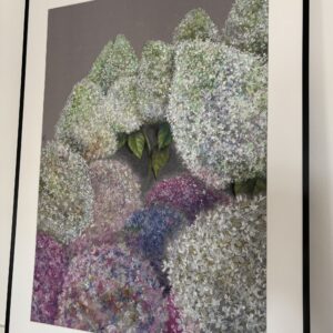 #0149 hortensien mit pastell-ölkreiden